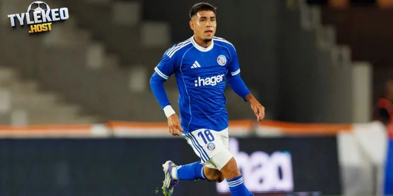 Các lựa chọn phù hợp, tiềm năng cho Kendry