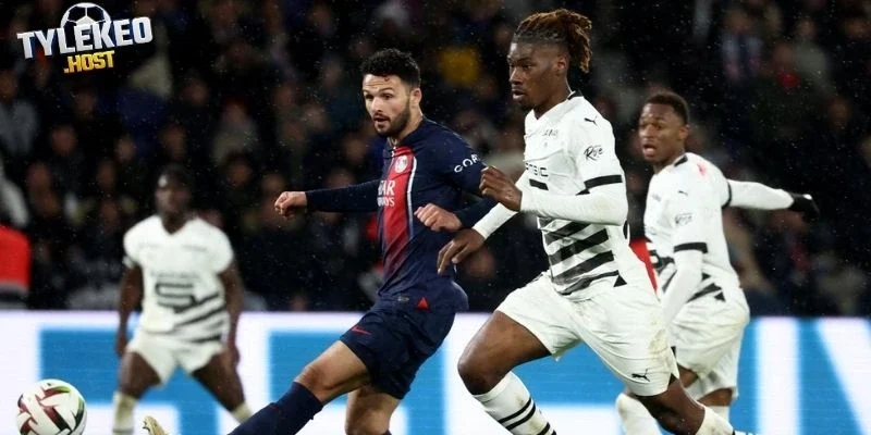 Thành tích thể hiện của Rennes vs PSG 
