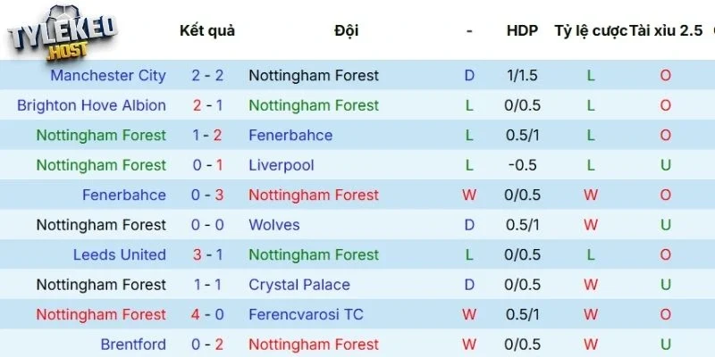 Thành tích thi đấu mới nhất của Nottingham