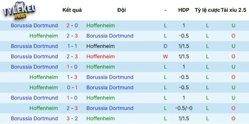 Kết quả đối đầu của Hoffenheim vs Dortmund